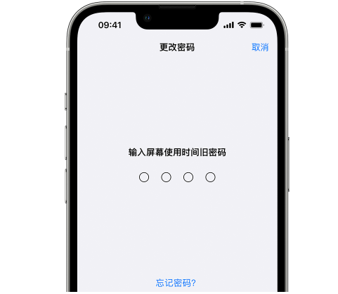 定城镇iPhone屏幕维修分享iPhone屏幕使用时间密码忘记了怎么办 