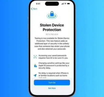 定城镇苹果授权维修店分享被盗设备保护功能开启方法
