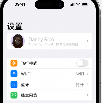 定城镇appleID维修服务iPhone设置中Apple ID显示为灰色无法使用 