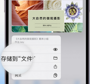 定城镇apple维修中心分享iPhone文件应用中存储和找到下载文件