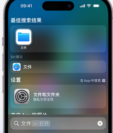 定城镇apple维修中心分享iPhone文件应用中存储和找到下载文件