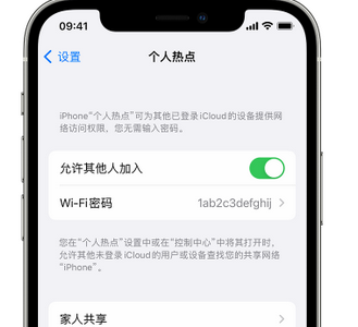 定城镇apple服务站点分享iPhone上个人热点丢失了怎么办 