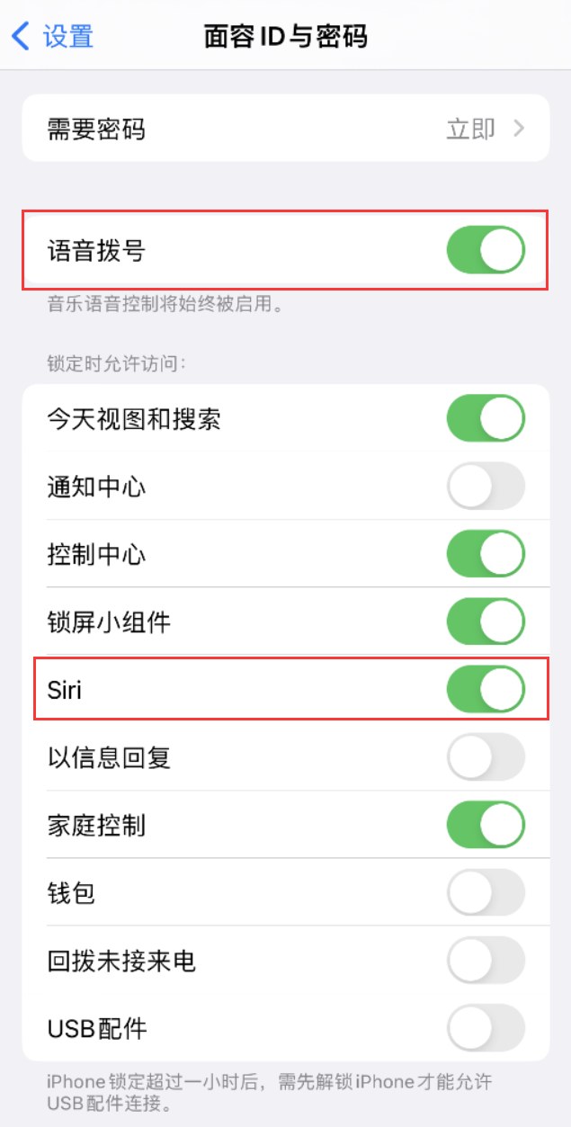 定城镇苹果维修网点分享不解锁 iPhone 的情况下通过 Siri 拨打电话的方法 