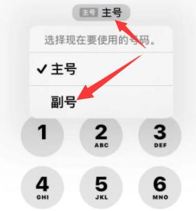 定城镇苹果14维修店分享iPhone 14 Pro Max使用副卡打电话的方法 