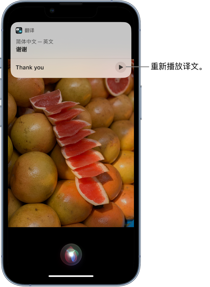 定城镇苹果14维修分享 iPhone 14 机型中使用 Siri：了解 Siri 能帮你做什么 