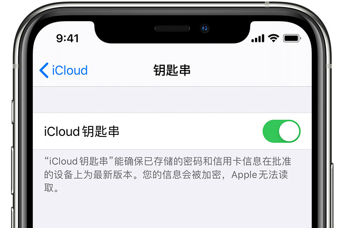 定城镇苹果手机维修分享在 iPhone 上开启 iCloud 钥匙串之后会储存哪些信息 