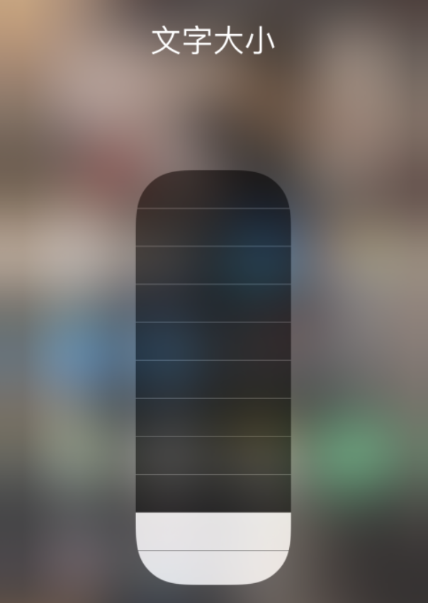 定城镇苹果手机维修分享小技巧：在 iPhone 控制中心快速调节字体大小 