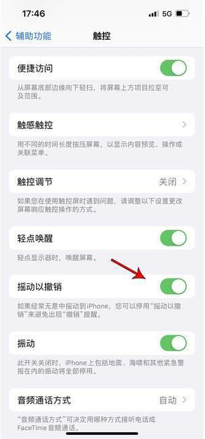 定城镇苹果手机维修分享iPhone手机如何设置摇一摇删除文字 