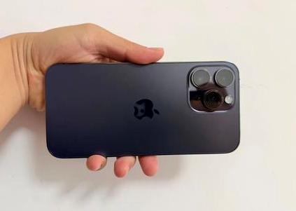 定城镇苹果维修点分享iPhone 14 Pro Max黑屏少见故障盘点 